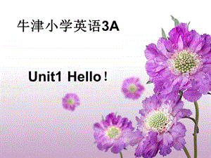 最新牛津小学英语3AUnit1Hello！PPT课件..ppt