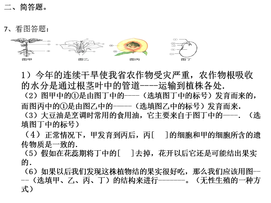 期中复习专题-副本.ppt_第3页