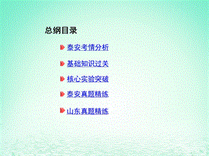 山东省泰安市中考化学复习第一部分基础过关第六单元燃烧与燃料第2课时大自然中的二氧化碳课件.pptx