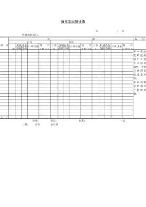 资本支出预计表模板.doc