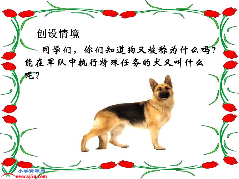 教科版五年级语文上册军犬黑子ppt名师制作优质教学资料.ppt_第3页