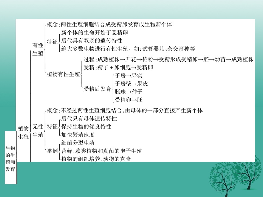 八年级生物下册 专题一 生物的生殖和发育课件 新版新人教版.pptx_第1页