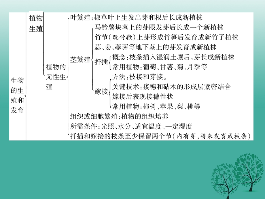 八年级生物下册 专题一 生物的生殖和发育课件 新版新人教版.pptx_第2页