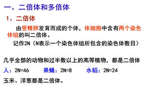 山东省高中生物第五章基因突变及其他变异5.2染色体变异第二课时课件新人教版.pptx