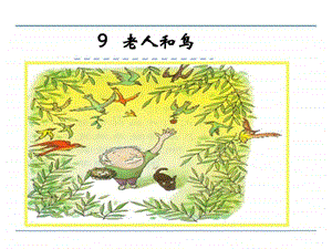 最新苏教版语文四年级老人和鸟课件..ppt