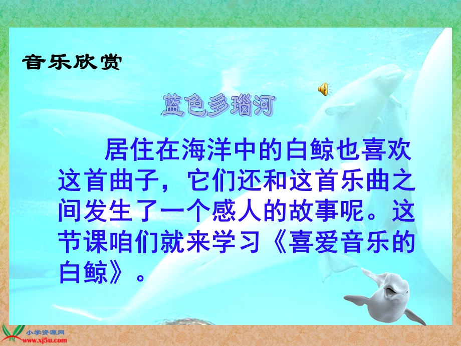 喜爱音乐的白鲸_课件.ppt_第1页