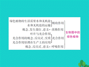 中考生物总复习知能综合突破专题3生物圈中的绿色植物课件新人教版.pptx