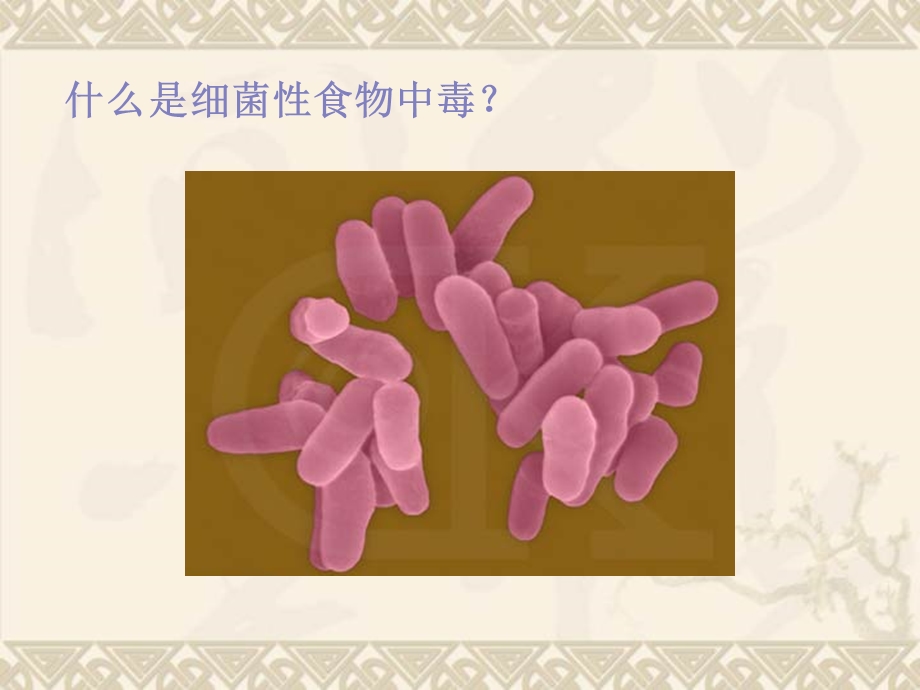 常见细菌性食物中毒.ppt_第2页