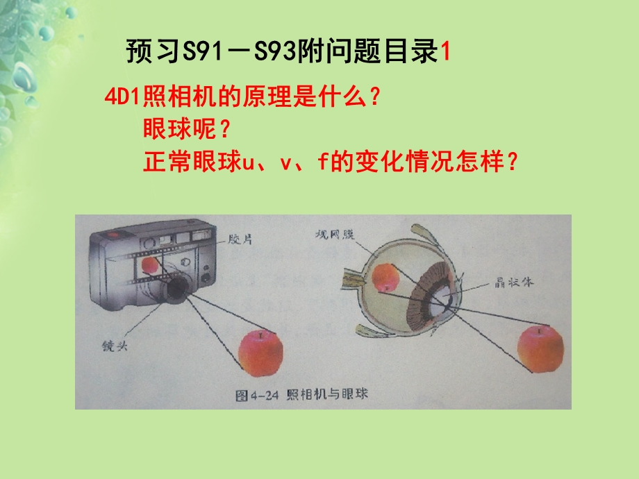 八年级物理4.4照相机、眼睛和视力矫正课件苏科版.pptx_第2页