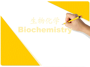 最新生物化学生物化学研究对象及内容PPT课件..ppt