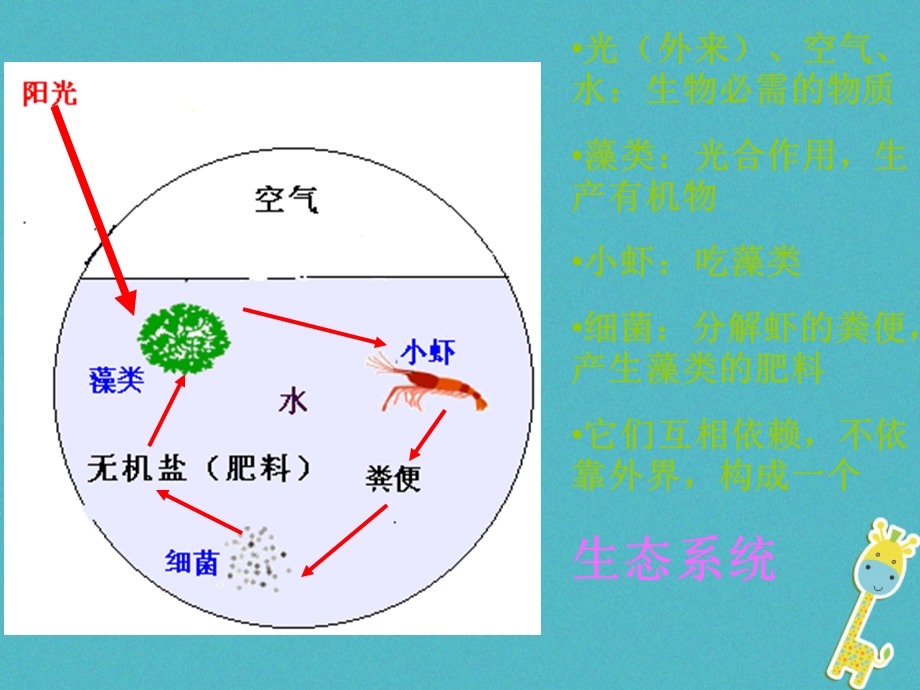 吉林省长市七年级生物上册第一单元第二章第三节生态系统课件新版新人教版.pptx_第3页