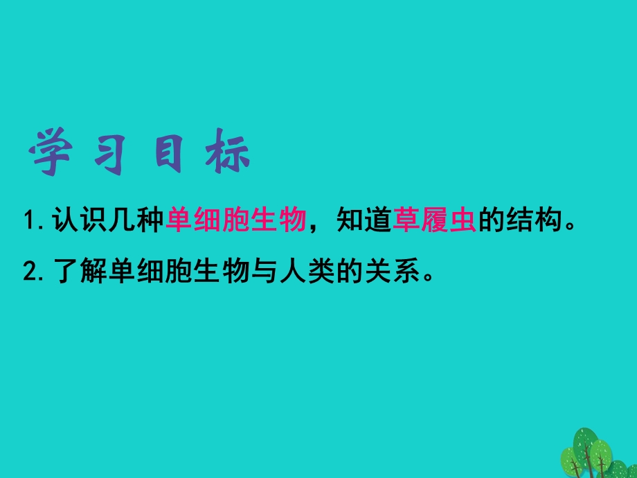 七年级生物上册第二单元24单细胞生物课件新版新人教版.pptx_第2页