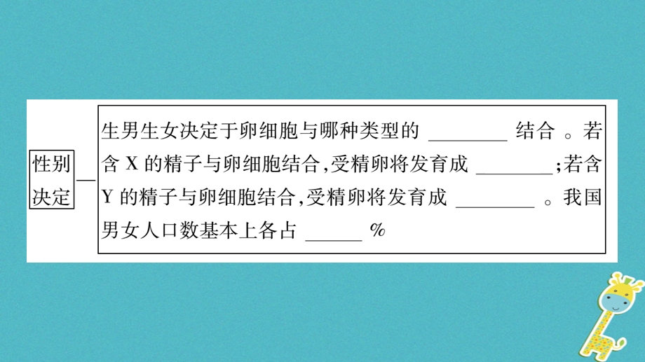 广西省八年级生物上册第6单元第20章第4节性别和性别决定课件新版北师大版.pptx_第3页