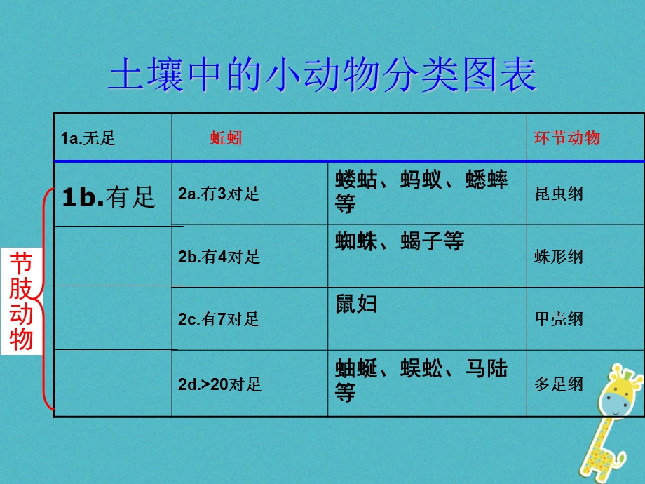 江苏省七年级生物下册13.1土壤里的携物课件新版苏科版.pptx_第3页