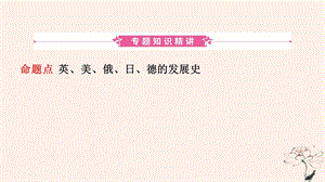 山东省济宁市中考历史专题复习专题八大国发展史课件 .pptx