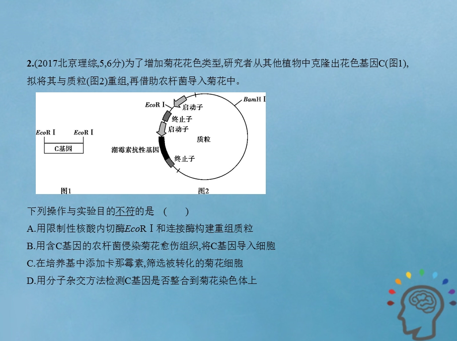 北京专版高考生物一轮复习专题26基因工程课件.pptx_第3页