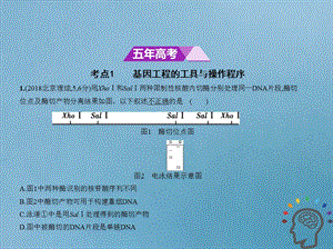 北京专版高考生物一轮复习专题26基因工程课件.pptx