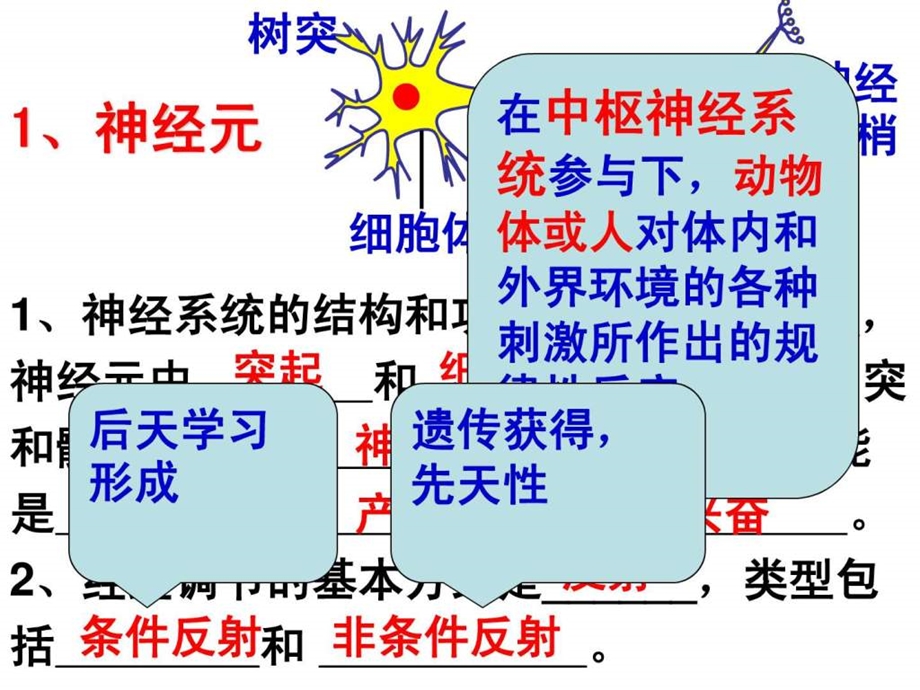 最新高二复习动物和人体生命活动的调节..ppt_第3页