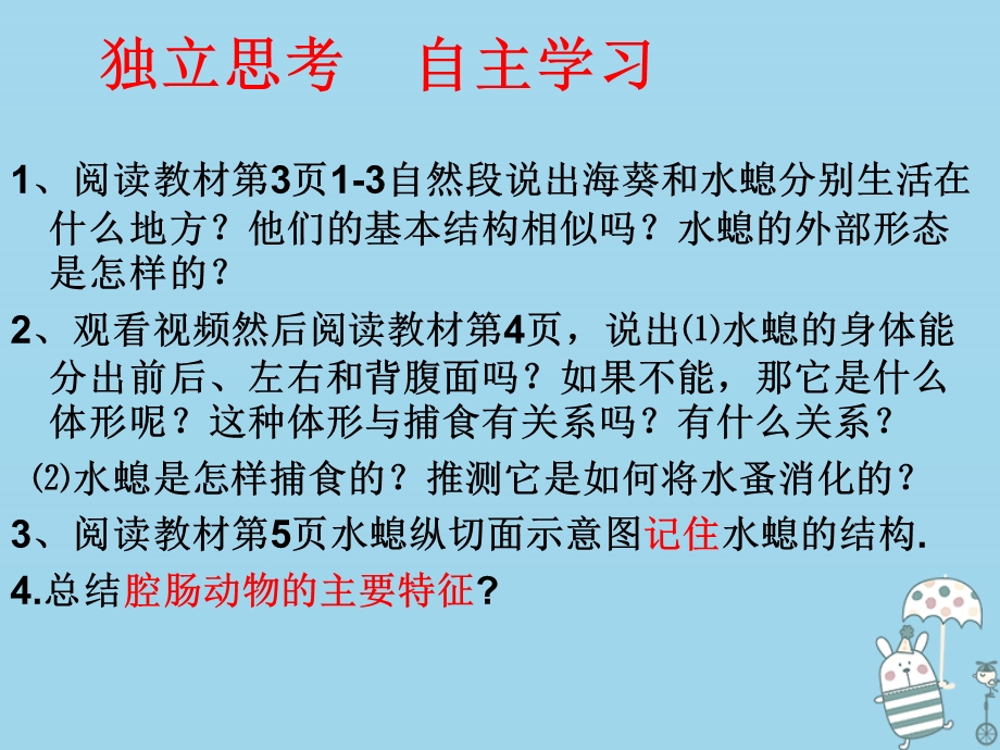 吉林省通化市八年级生物上册5.1.1腔肠动物和扁形动物课件新版新人教版.pptx_第3页