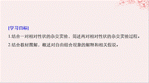 通用版高中生物第一章孟德尔定律第二节自由组合定律Ⅰ课件浙科版必修.pptx