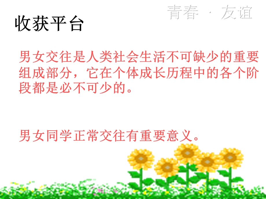 把握青春珍爱友谊.ppt_第3页