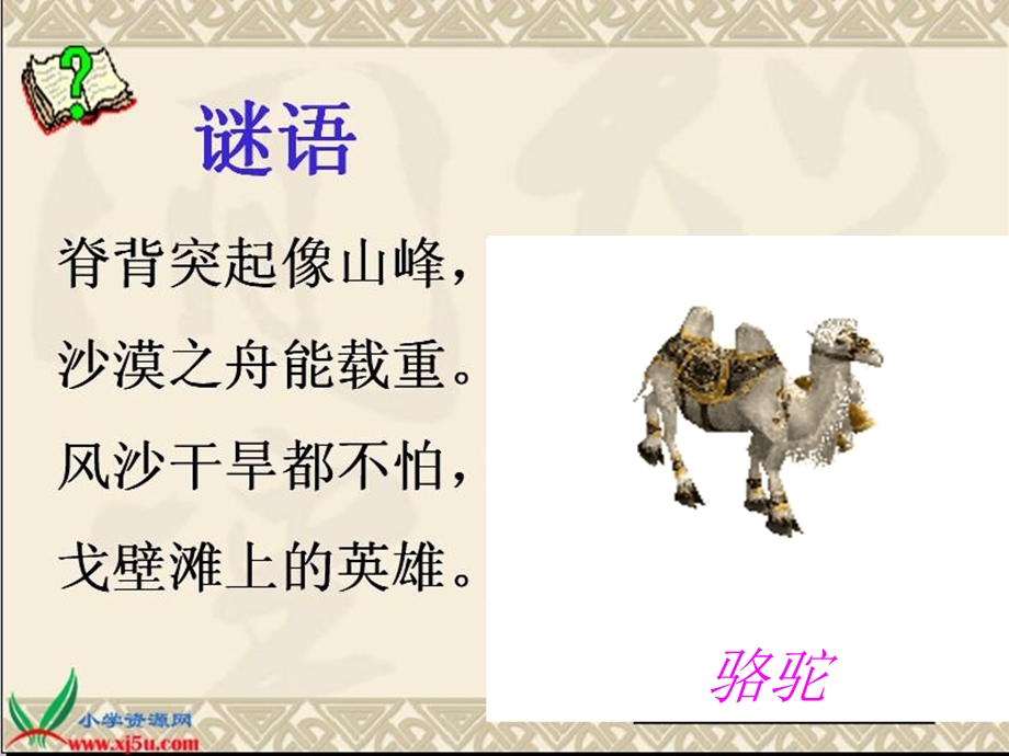 找骆驼（白海燕）.ppt_第1页