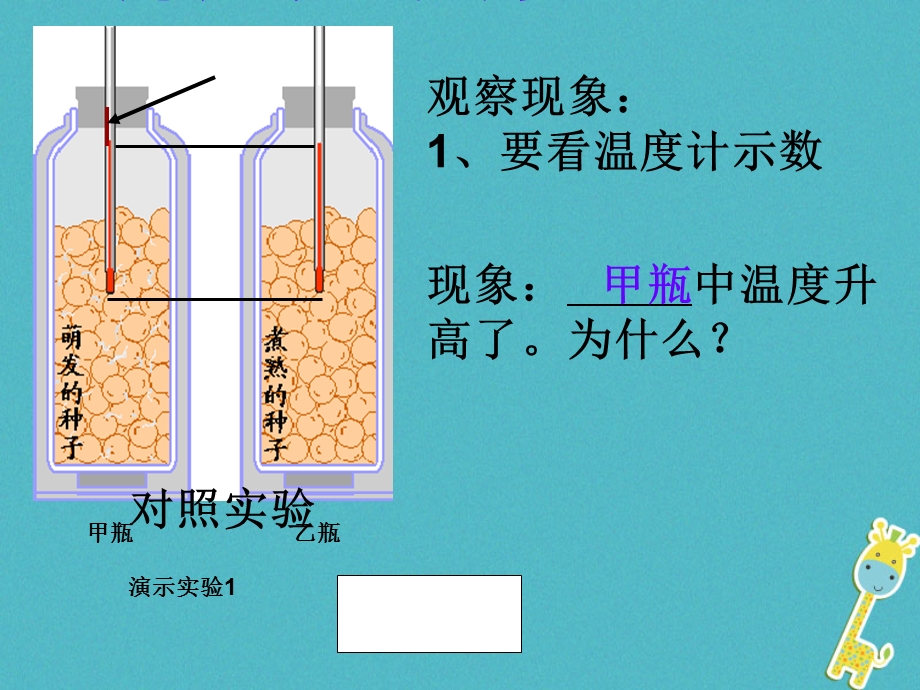 吉林省长市七年级生物上册第三单元第五章第二节绿色植物的呼吸作用课件4新版新人教版.pptx_第3页