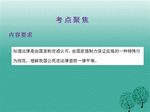 中考政治第二单元法律与秩序考点13规则与法律复习课件.pptx