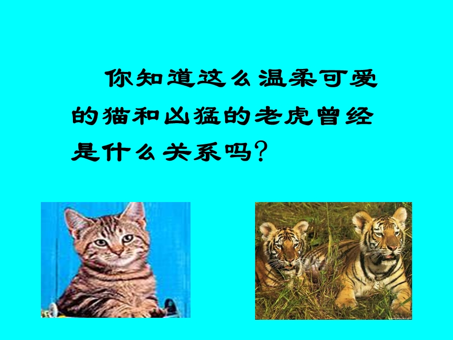 小学音乐-演示文稿2.ppt_第3页