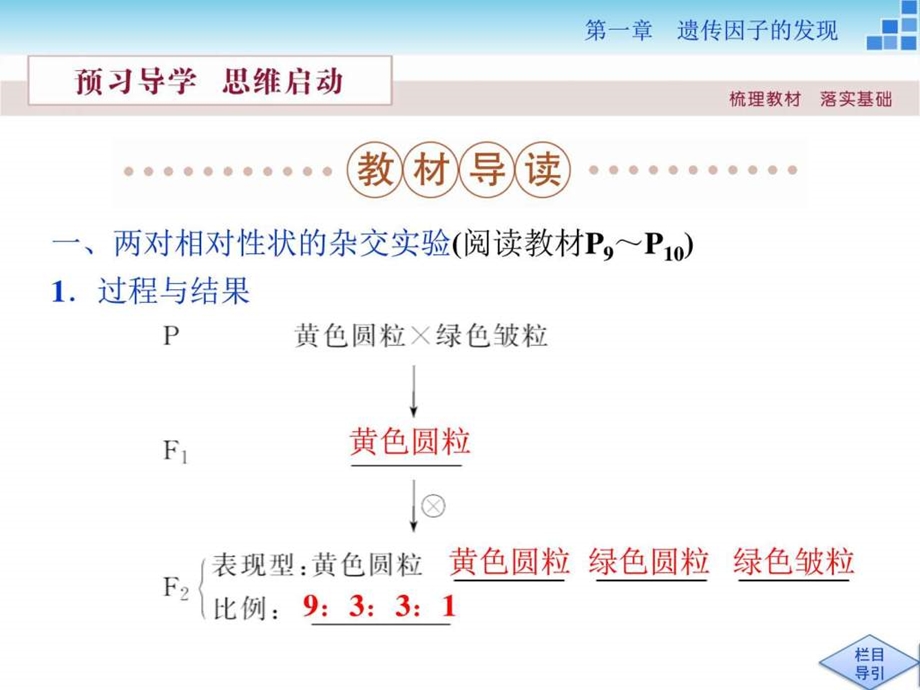 最新方案高中生物人教版必修二配套课件第一章第2节第1课..ppt_第3页