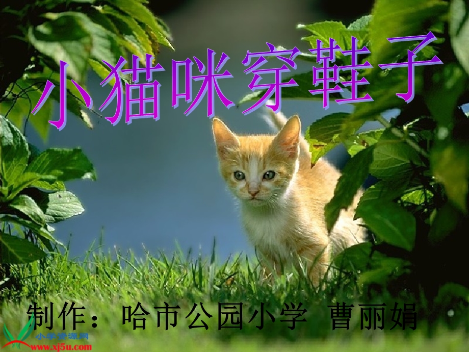 最新教科版二年级语文下册小猫咪穿鞋子PPT课件[定稿]..ppt_第1页