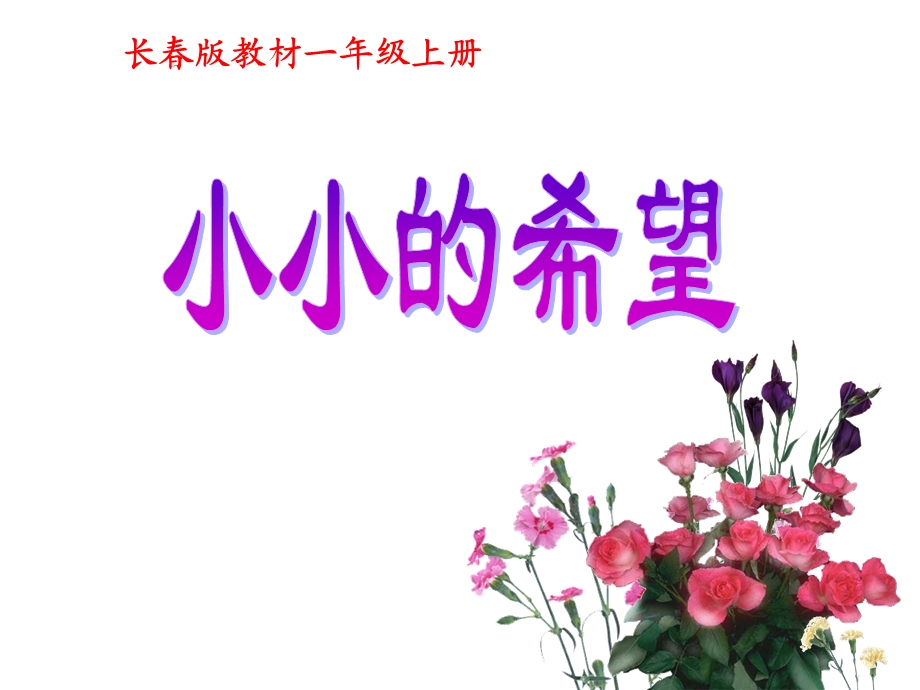 小小的希望 (2).ppt_第1页