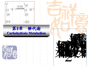 最新动物生物化学第八章糖类代谢..ppt