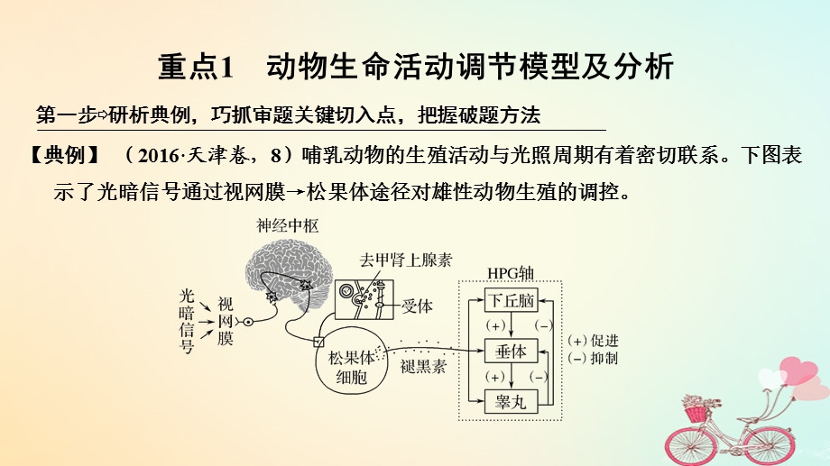 高考生物大一轮复习第八单元生命活动的调节补上一课5含实验素养提升5课件.pptx_第2页