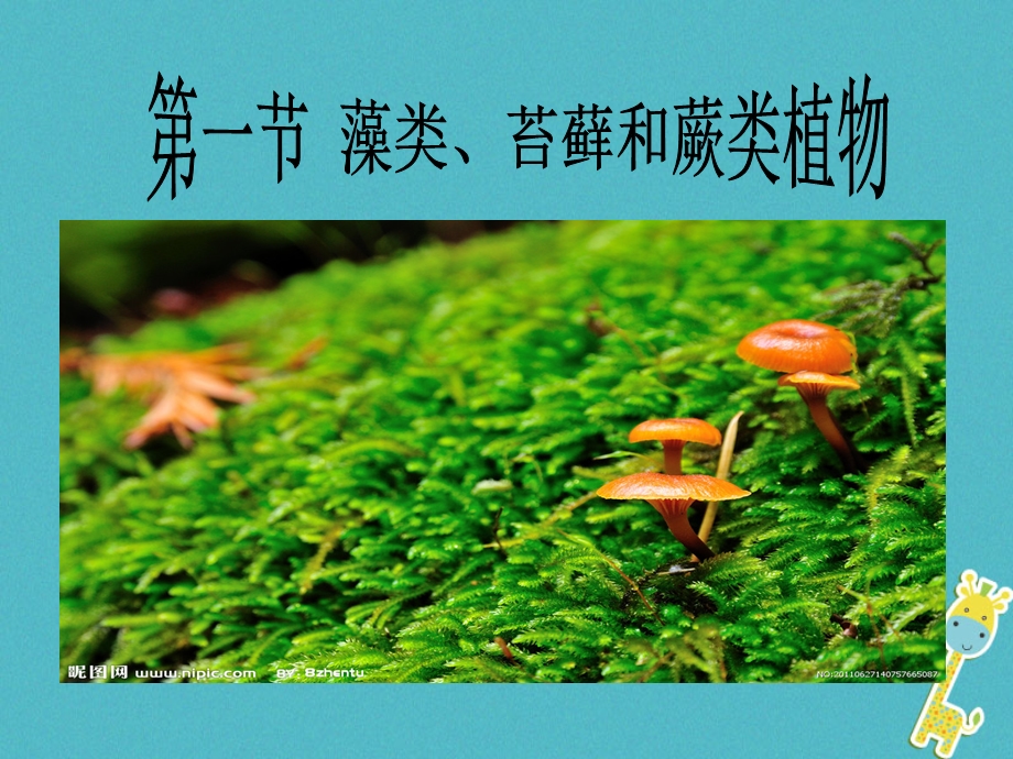 吉林省长市七年级生物上册第三单元第一章第一节藻类苔藓和蕨类植物课件4新版新人教版.pptx_第3页