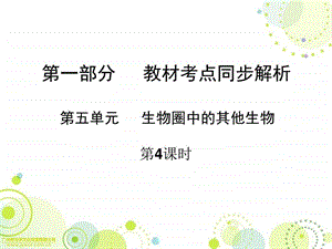 最新广东省中山市人教版初中生物中考精美复习课件 第(10)..ppt