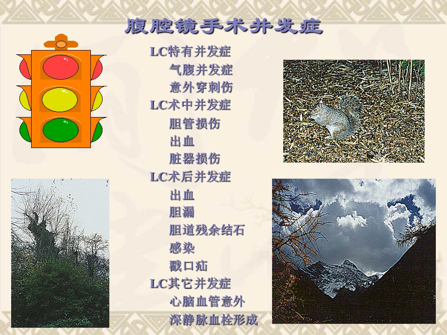 LC并发症的发生机制与防范对策.ppt_第1页