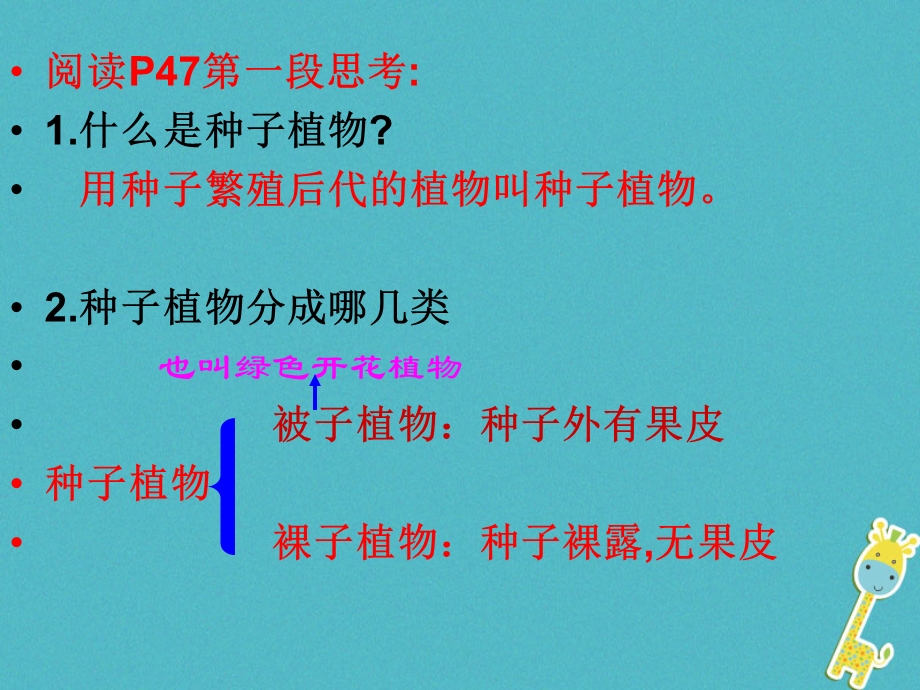 江苏省七年级生物下册11.1地面上的植物被子植物与裸子植物课件新版苏科版.pptx_第2页