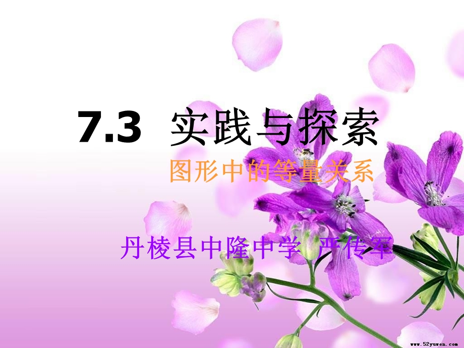 方程组实践与探索2.ppt_第1页