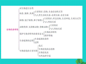 中考生物总复习知能综合突破专题7生物的多样性课件新人教版.pptx