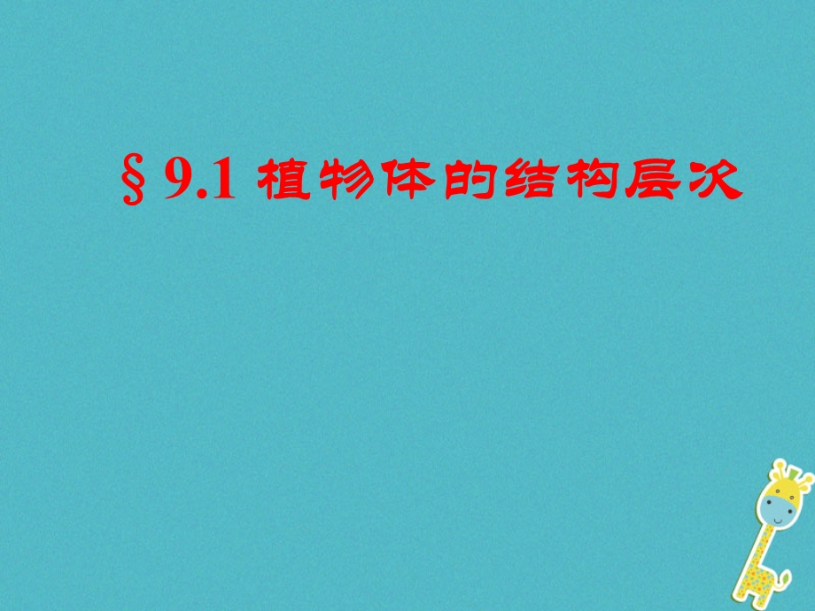 江苏省七年级生物下册9.1植物体的结构层次课件新版苏科版.pptx_第2页