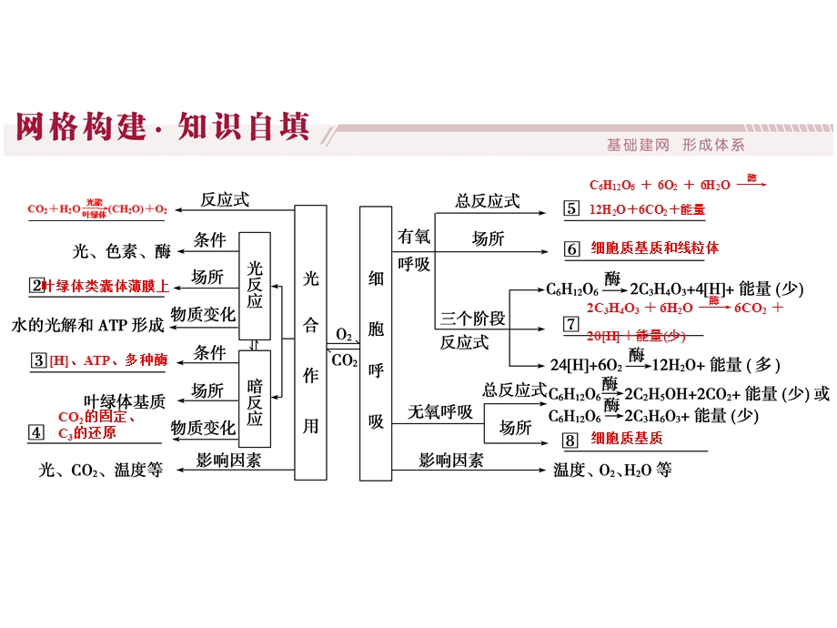 呼吸作用与光合作用小专题.ppt_第3页