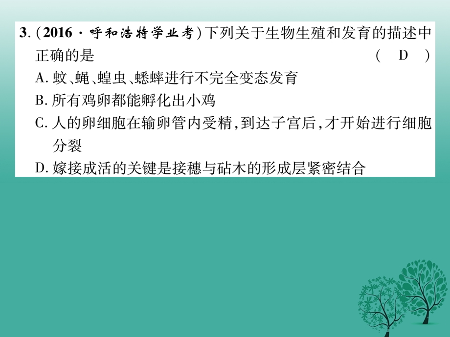 八年级生物下册 第七单元 第一章 生物的生殖和发育达标课件 新版新人教版.pptx_第2页