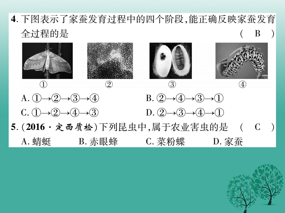 八年级生物下册 第七单元 第一章 生物的生殖和发育达标课件 新版新人教版.pptx_第3页