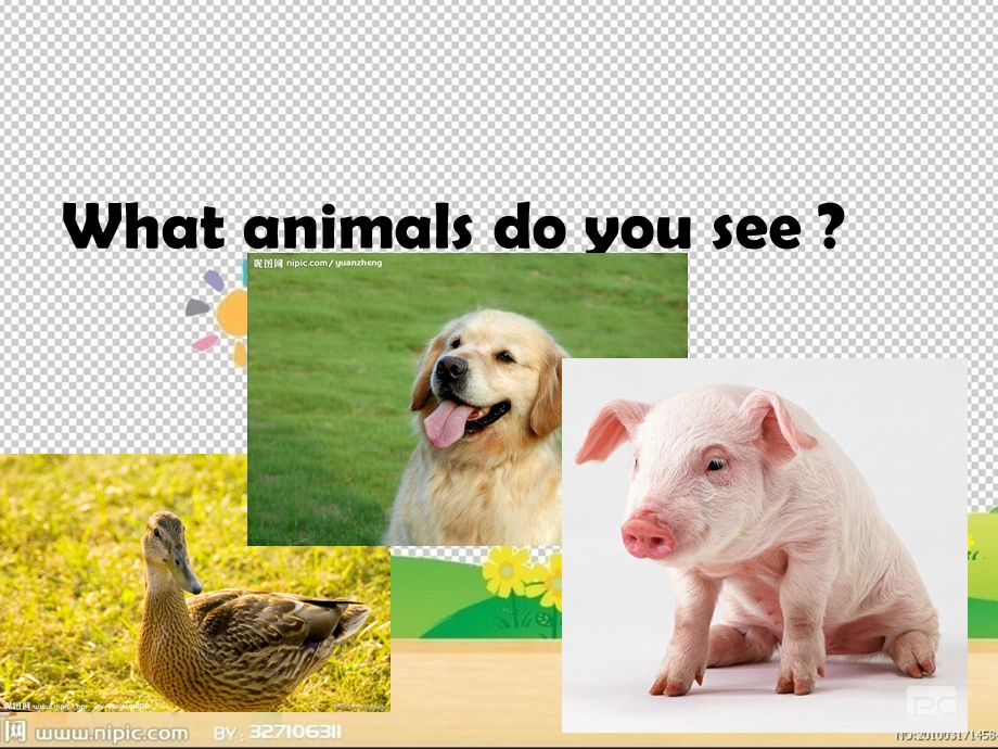 小学英语Weloveanimals课件.ppt_第3页