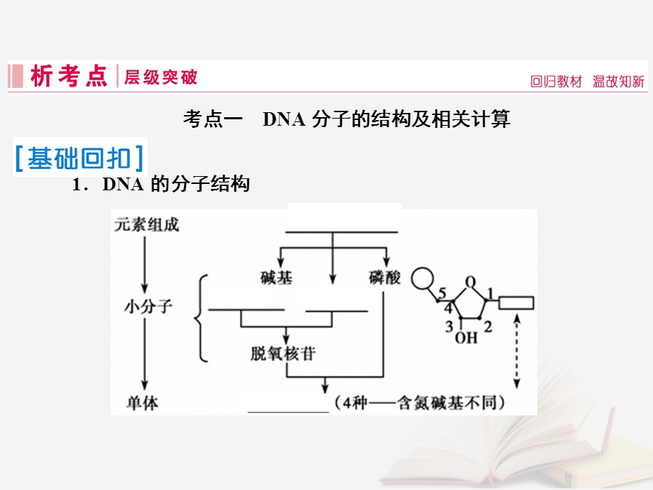 高考生物复习遗传的分子基础第18讲DNA分子的结构、复制及基因是有遗传效应的DNA片段课件新人教版.pptx_第2页