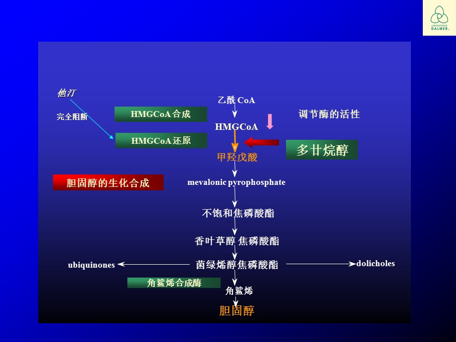 最新多廿烷醇的基础与临床胡大一..ppt_第3页