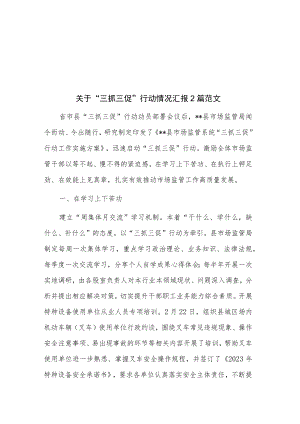 关于“三抓三促”行动情况汇报2篇范文.docx