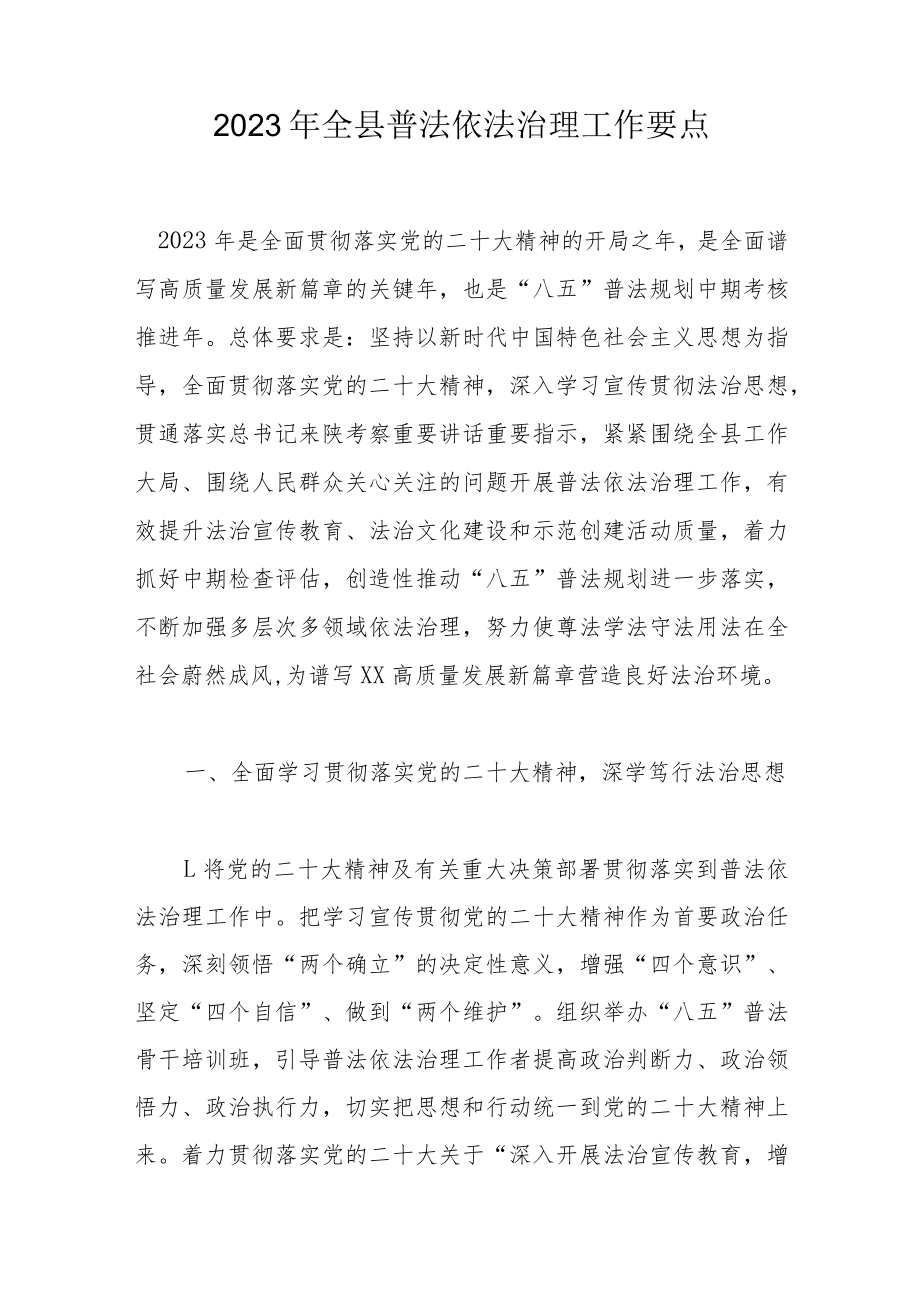 2023年全县普法依法治理工作要点.docx_第1页