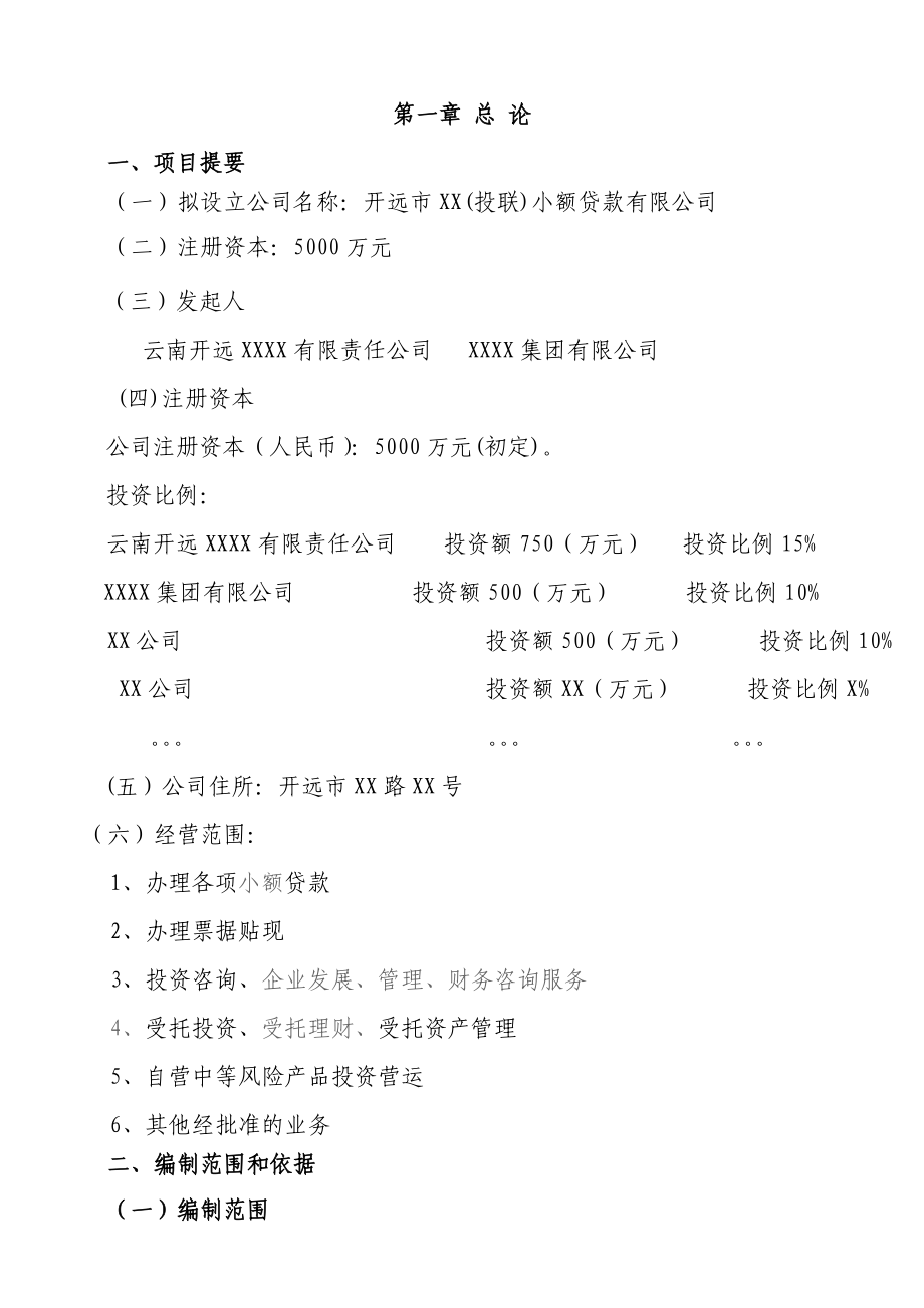 组建小额贷款公司可行性研究报告方案模式.doc_第2页